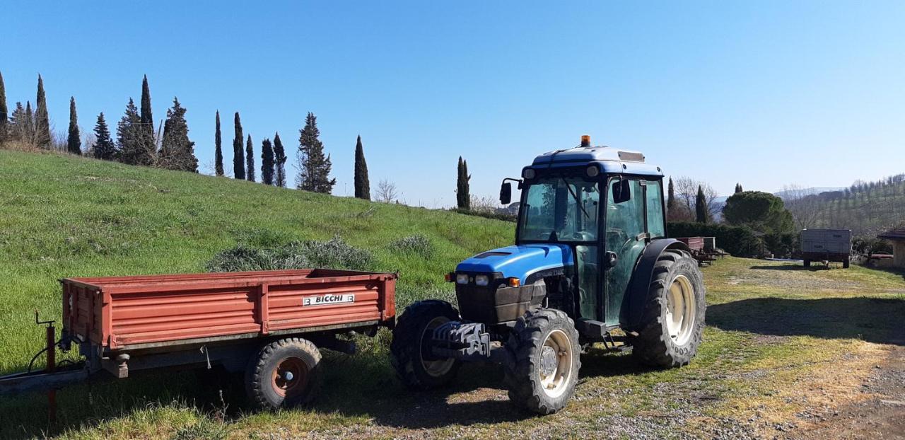 Casa Alla Madonna San Gimignano Bagian luar foto