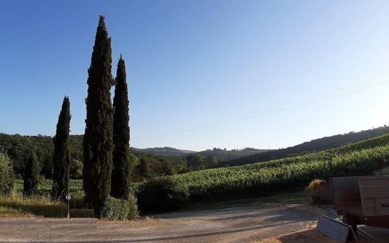 Casa Alla Madonna San Gimignano Bagian luar foto